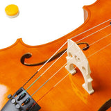 4/4 Acoustic Cello + Case + Bow + Rosin Wood Color Beautiful Varnish Finishing (Natural color)