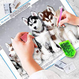 DIY 5D Diamond Painting Kits for Adults Full Drill Embroidery Paintings Rhinestone Pasted DIY Painting Cross Stitch Arts Crafts for Home Wall Decor 30x40cm/11.8×15.7Inches（Lovely Huskies,Dogs)