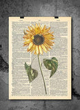 Sunflower - Vintage Sunflower Vintage Art - Authentic Upcycled Dictionary Art Print - Home or Office Decor (D308)