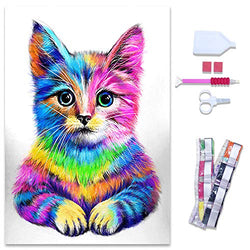 HUBENDMC DIY 5D Diamond Painting Kits for Adults,Colorful Cat Gem Art Craft Paint with Full Round Drills for Home Wall Decor (Kitten,30x40cm/11.8x15.8in)