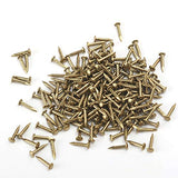 RZDEAL 200 PCS Miniature Nails Round Head Brass Nails for Small Hinges Doll Houses Delicate Boxes Mini Craft Projects(DIY, 0.05'' x 0.3'')