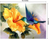 16"x12" Diamond Painting Kits for Adult, Hummingbird and Flower Craft 5D Full Drill Diamond Paint by Number Kits for Adults Kids Beginner as Home Decoration