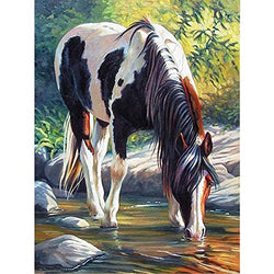 Cenda DIY 5D Diamond Painting Kits for Adults, Full Drill Embroidery Pictures Arts Crafts for Home Wall Decor Animals Horse 11.8x15.7Inch