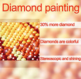 DIY 5D Landscape Diamond Painting for Adult by Number Kits Full Drill Diamond Embroidery Rhinestone Picture Diamond Arts Craft for Home Wall Decor (ZSH052)