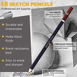 52 Piece Professional Drawing Set with 2 x 50 Sheet Drawing Pad, Graphite Drawing Pencils and Sketch Set, Artist Sketching Tools in Tin Box Includes Charcoals,Pastels and Sharpener,Art Supplies