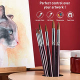 ZHOUXF Artist Watercolor Paint Brush Set with Storage Case - 6 Piece Red Sable Weasel Hair Short Handle Round Point Brush for Watercolor Acrylic and Gouache Painting