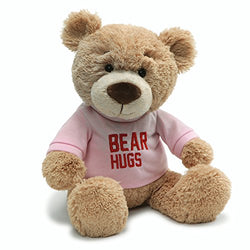 Gund Valentine's Day Hugs T-Shirt Message Bear Plush Stuffed Animal, 7.5” , Pink