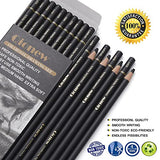 Qionew Professional Charcoal Pencils Drawing Set - 10 Pieces Ex-Soft, Soft, Medium & Hard Charcoal Pencils for Drawing, Sketching, Shading, Ideal Artist Pencils for Beginners & Artists