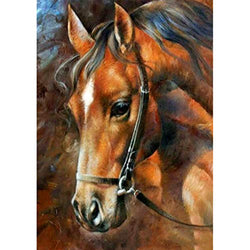 MXJ DIY 5D Diamond Painting by Number Kits Full Round Drill Rhinestone Picture Art Craft for Home Wall Decor Brown Horse 12x16In