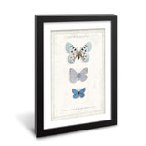 wall26 - Framed Wall Art - Watercolor Style Butterflies - Black Picture Frames White Matting - 23x31 inches