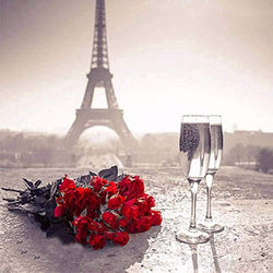5D Diamond Painting Landscape, Paint with Diamonds DIY Diamond Art Wine Glass Rose Paris, Diymood painting by Number Kits Full Drill Rhinestone for Home Wall Decor 16x16inch