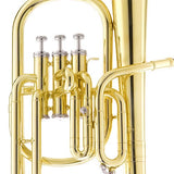 Cecilio 2Series AH-280 Lacquer Eb Alto Horn with Stainless Steel Valves, Gold