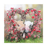 Diamond Painting Kits for Adults, 5D Round Full Drill Art Perfect for Relaxation and Home Decor Heart Pigs 11.8x11.8Inches