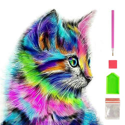 DIY 5D Diamond Painting Kits for Kids & Adult Colorful Cat Round Rhinestone Embroidery Cross Stitch Arts Craft Canvas Wall Decor, 12X12 inch