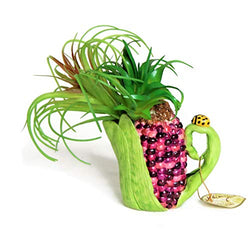 Limited Edition Unique Realistic Design Purple Corn Teapot Air Plant Succulent Cactus Tillandsia Pot Planter Indoor Outdoor Home Kitchen Office Dorm Yard Lawn Dollhouse Fairy Garden Accessory (PC47)