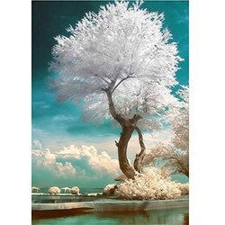 DIY 5D Diamond Painting by Number Kits, White Tree Full Drill Crystal Rhinestone Diamond Embroidery Paintings Pictures Arts Craft for Home Wall Decor 40x30cm (A, 50X60cm)