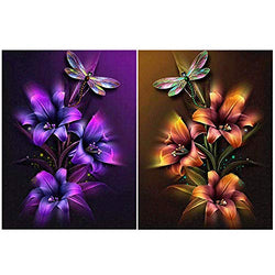 HaiMay 2 Pack DIY 5D Diamond Painting Kits Full Drill Rhinestone Painting Flower Diamond Pictures for Wall Decoration, Flower Diamond Painting Style (Canvas 12×16 Inch)