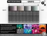 Acrylic Paint Pens 22 Assorted Pro Color Series Markers Set 0.7mm Extra Fine Tip for Rock Painting, Glass, Mugs, Wood, Metal, Canvas, DIY Projects, Non Toxic, Waterbased, Quick Drying (Gray)