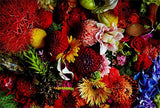 Flora Magnifica: The Art of Flowers in Four Seasons