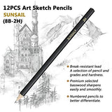 Drawing Sketching Pencils Set - Graphite Sketching Pencils Ideal for Drawing Art, Sketching, Shading, for Beginners (12PACK 8B-2H)