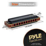 Pyle Professional Brass Metal Covered 10 Hole 7 Piece Diatonic Harmonica Kit - Blues Harp Set Includes Storage Case and Polishing Cloth - Key of C -Great for Pro, Beginner Lessons or Band - PHARM48ST