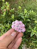 Handmade 100 pcs mini Rose mixed Pink color Mulberry Paper Flower 15-18 mm scrapbooking wedding doll house supplies card, Small Roses.