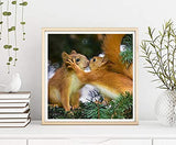 5D Diamond Painting Animal, Paint with Diamonds DIY Diamond Art Winter Squirrel, Diymood Painting by Number Kits Full Drill Rhinestone for Home Wall Decor 12x12inch