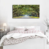 Green Forest Wall Art Nature Canvas Picture Landscape Canvas Artwork for Home Wall Decor Large Canvas Prints of Oak Trees Lined Road at Historic Wormsloe Plantation Savannah Georgia 20" x 40"