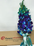 eflowerwholesale - Premium Cut Blue Orchids (10 stems Orchid with Rhinestone Mesh Ribbon Vase)