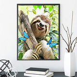 HaiMay 2 Pack DIY 5D Diamond Painting Kits Full Drill Rhinestone Painting Sloth Diamond Pictures for Wall Decoration, Animal Diamond Painting Style (Canvas 12×16 Inch)