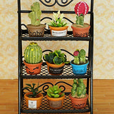 SAMCAMI Dollhouse Furniture Flower Stand Set (11pieces) - Vintage Metal Plant Stand and Other Miniature Accessories for 1 12 Scale Dollhouse Balcony Decoration (Black)