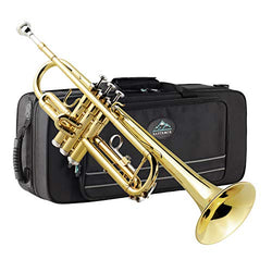 Eastrock Trumpet Brass Standard Bb Trumpet Set for Beginnner, Student with Hard Case, Gloves, 7C Mouthpiece, Trumpet Cleaning Kit-Lacquer Gold