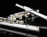 Glory HAND-ENGRAVED SILVER PLATED HIGH GRADE FLUTE 17 Hole OPEN/CLOSED C Flute With Case, Tuning Rod and Cloth,Joint Grease and Gloves,HIGH GRADE HAND ENGRAVED