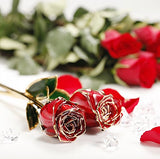 DeFaith 24K Gold Dipped Real Rose, Forever Gifts for Her Anniversary Valentine’s Day Christmas,