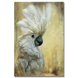 Cockatoo by Lois Bryan, 30x47-Inch Canvas Wall Art