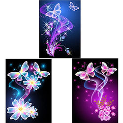 3 Pack 5D Diamond Painting Princess Full Drill by Number Kits for Adults Kids, Butterfly Flower Rhinestone Crystal Drawing Gift Embroidery Dotz Kit Home Wall Décor Paint (16"X12")