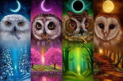 DIY 5D Diamond Painting Kits for Adults Kids Full Drill Diamond Painting, Cute Owl Diamond Art Craft Canvas Supply for Home Wall Decor (13.7 x 9.8 in)