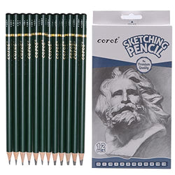 Tingeart Professional Drawing Sketching Pencil Set - 12Pieces Art Drawing Graphite Pencils 12B,10B,8B,6B,5B,4B,3B,2B,B,HB,H,2H,Ideal for, Sketching, Shading, Artist Pencils for Beginners &Pro Artists