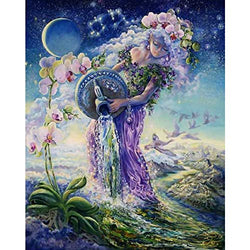 5D Diamond Painting by Number Kit,Aquarius Flower Fairy Full Drill Embroidery Cross Stitch Picture Supplies Arts Craft Wall Sticker Décor 11.8x15.7 inch