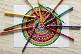Prismacolor 2427 Premier Verithin Colored Pencils, 24-Count