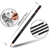 Professional Drawing Sketching Pencil Set - 12 Pieces Art Drawing Graphite Pencils(8B - 2H), Ideal for Drawing Art, Sketching, Shading, Artist Pencils for Beginners & Pro Artists, in Tin Box