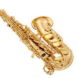 Apollo Alto Saxophone in gold lacquer with leather pads, complete with case and accessories & Neotech Saxophone Strap Regular Swivel Hook, Black (1901162)