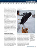 Chainsaw Carving an Eagle: A Complete Step-by-Step Guide (Fox Chapel Publishing)
