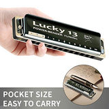 East top Lucky 13 Bass Plus Blues Harmonica 13 Holes Diatonic Harp Mouth Organ Professional Musical Instruments PowerBender G key for Adults