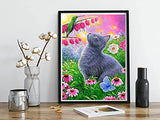 Kaliosy 5D Diamond Painting Cat by Number Kits, Paint with Diamonds Art Animal DIY Full Drill, Crystal Craft Cross Stitch Embroidery Decoration 30x40cm（12x16inch）