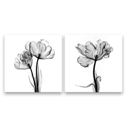 SIGNFORD 2 Panel Canvas Wall Art Black and White Flower Canvas Prints Painting Wall Decor for Living Room Wooden Framed Home Decorations - 16"x16" x 2 Panels