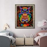 Diamond Painting Kits for Adults and Kids, Full Drill Round Rhinestone Paint with Diamonds,Cross Stitch Embroidery Art Perfect for Relaxation and Home Wall Decor (Cool owl, 12X16inch)