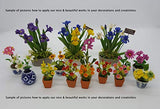 10 Pieces Miniature Pimrose Flower clay Dollhouse Fairy Garden Mini Plant Trees Artificial Flower Tiny Orchid #05