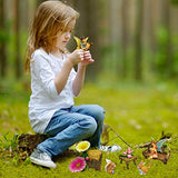 Mood Lab Fairy Garden - Miniature Figurines and Accessories Starter Kit - Hand Painted Fairy Garden Set for Outdoor or House Decor