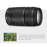 Canon EOS Rebel T6 DSLR Camera W/EF-S 18-55mm f/3.5-5.6 IS II Lens - 75-300mm Lens, 2X 32GB along